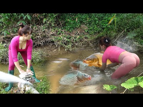 Full Video: Fishing Techniques, Uses Bait to Attract Fish