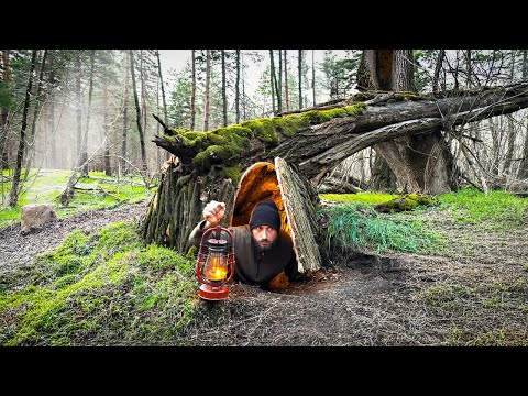 Building a Secret Shelter Under a Huge Fallen Tree for