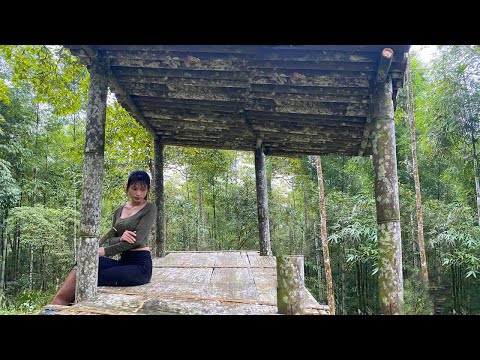 Safe haven on high, how to build a bamboo shelter -