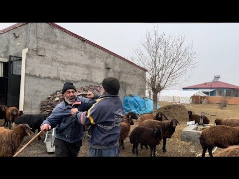 BÜYÜK KAVGA -- DAYILAR BİRBİRİNE GİRDİ