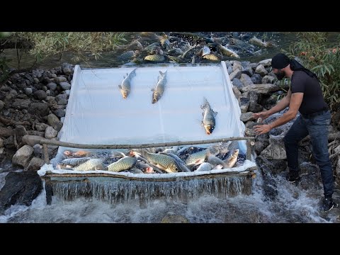 Catching Lots of Fish With the Slide System