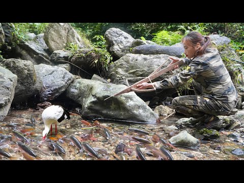 Build a solid shelter, catch stream fish to cook, survival