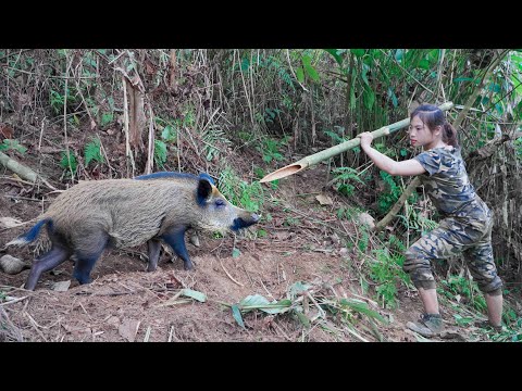 Skills for setting wild boar traps and making bamboo