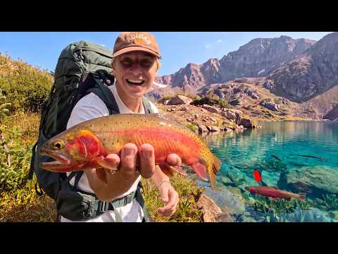 SOLO Backpacking in the Rocky Mountains - Cutthroat Trout