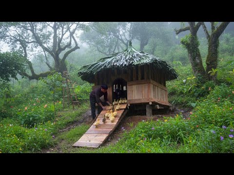 Building a Wooden House for Ducklings Expanding the