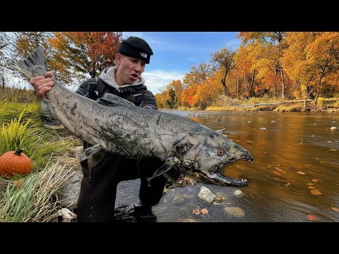 Fishing TINY Rivers for ZOMBIE Salmon - Halloween Special