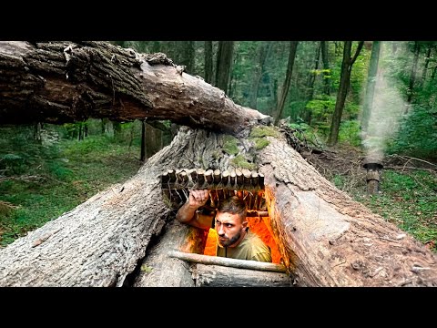 Building The Most Secret Dugout Inside A Fallen Tree