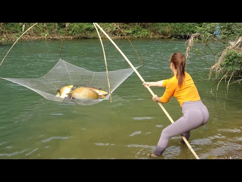 Village Girl Fishing - Traditional Net Fishing In The