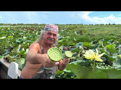 The Original Cajun Peanuts The American Lotus