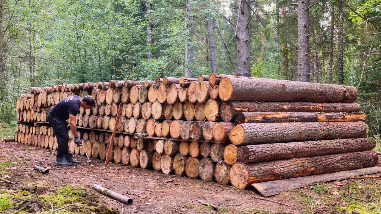 Two Men Build LOG CABIN In The Wild Full Build by