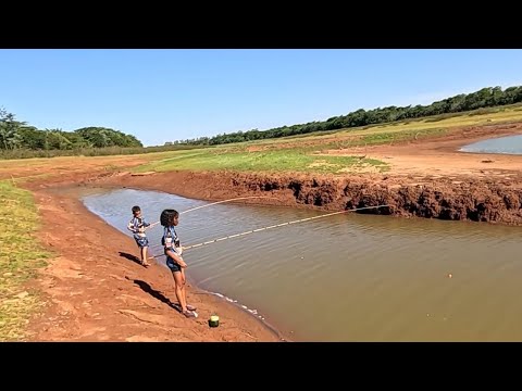 Pescaria raíz no Rio turvo elas estavam debaixo das moitas