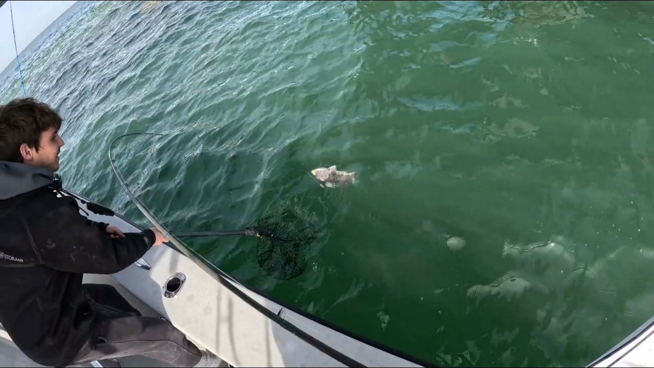 Epic TauTog Fishing