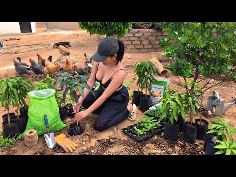 ¡Me fui de compras al vivero! Así elegí las mejores plantas