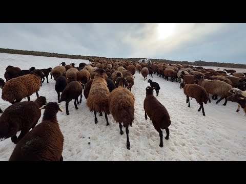 KARLI DAĞLARA ULAŞTIK EZGİ'Yİ BAŞKASINA VERDİM (3 BÖLÜM)
