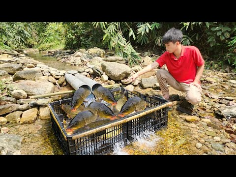 Fishing technique using plastic pipes The boy harvesting