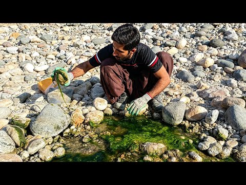 This Spring Was Choked in Slime — I Restored It & Made It