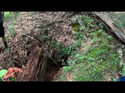 Cave In The Forest Is So Deep