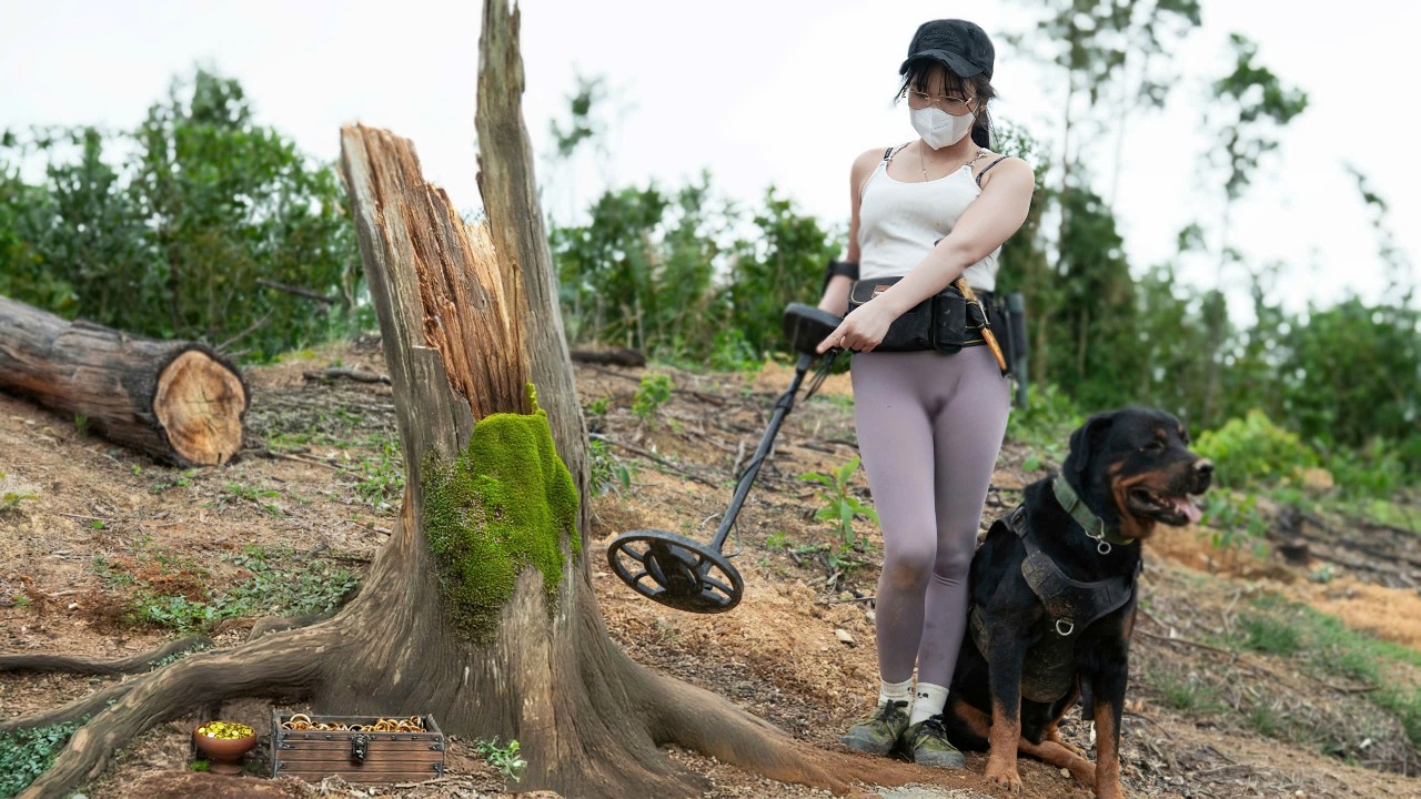The clever dog helped me find the thousand