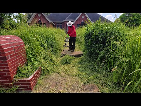 The HOA Couldn’t Handle This Alone So They Called Us