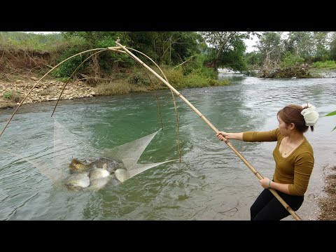 Fishing Exciting | Traditional Fishing With Fishing Nets,