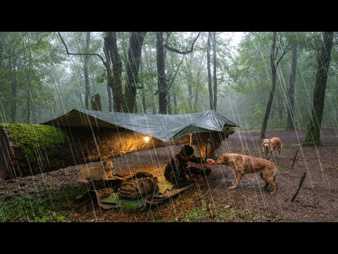 Heavy Rain Tarp Camping All Night 3 Stray Dogs Came to My