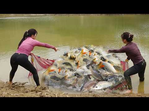 Interesting Fishing Technique, Pulling The Net To Harvest