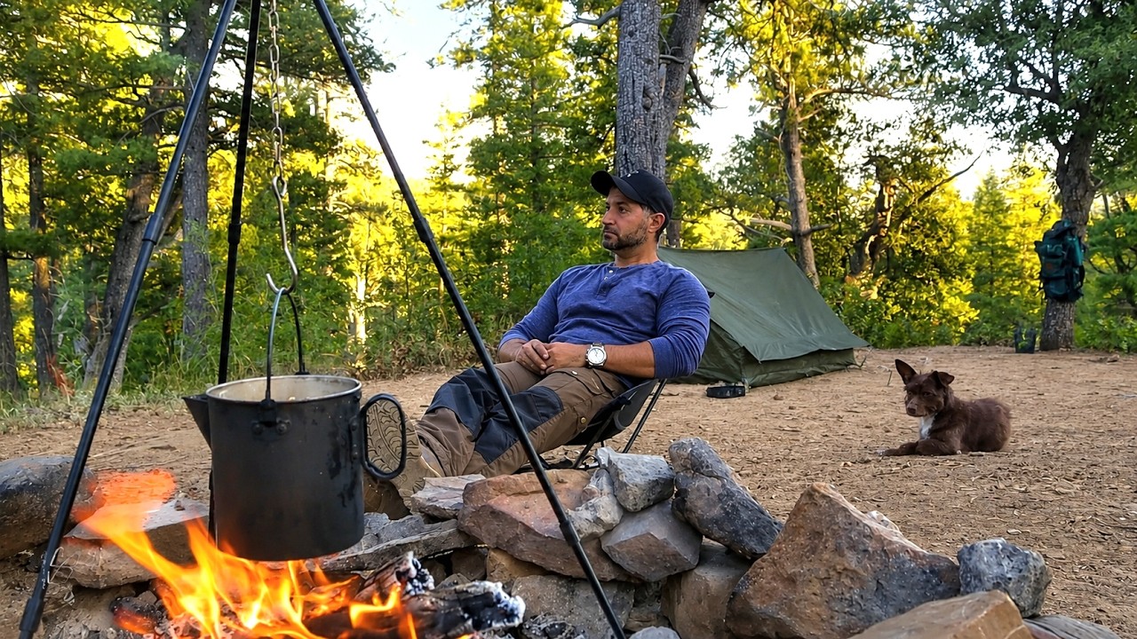 Solo Camping with My Dog Catch Food in Mountains Relaxing