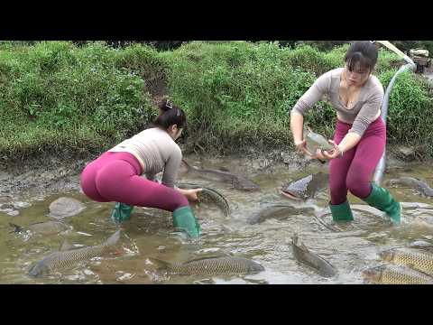 Full Videos: Village Lady Fishing Techniques | Amazing