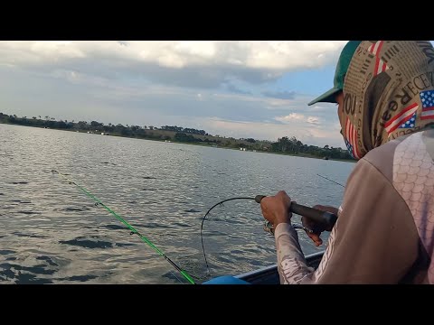 Passamos por cima de um Cardume de peixe de couro atacaram