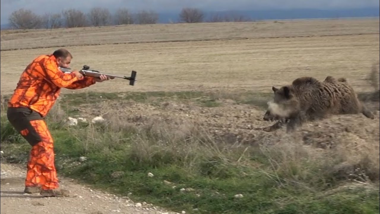AKSİYON DOLU DAKİKALAR *** Domuz Avı WildBoarHunting