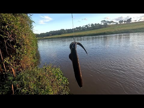 Pescaria de traíra e piau nas corredeiras do Rio turvo