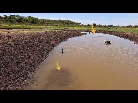 Piauçu tucunaré e traíra no Rio grande Pescaria caipira