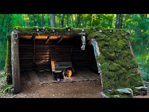 3 Days Solo SURVIVAL in UNDERGROUND; Built a Hidden Dugout