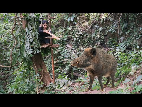 boar tracking, boar hunting skills, winter survival,