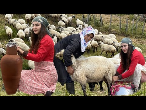 Daily life in nomadic life: Preparing dairy products in the