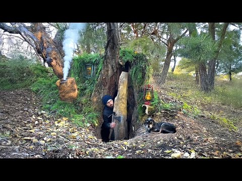 Building a warm and cozy shelter for survival inside a