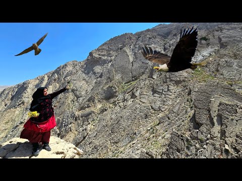 Traces of Bear Presence in the Mountains: Dangerous Rocks,