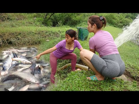 Top Videos: Awsome Fishing / Uniques Fishing / Great