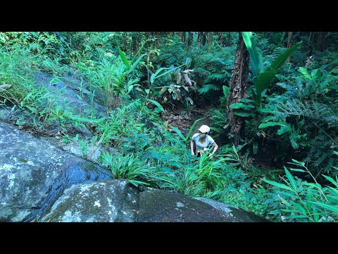 Survival build emergency shelter - Climb high waterfall to