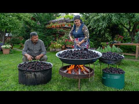 Village Cooking – Black Mulberry Harvest & One-Ingredient