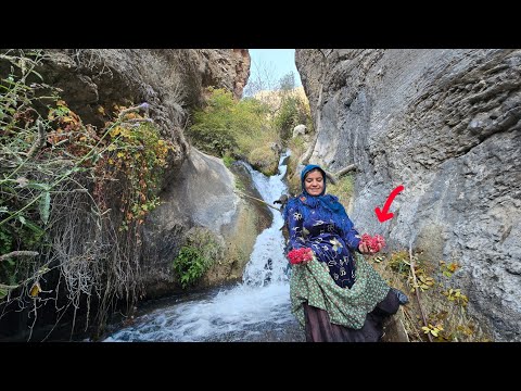 Crossing rivers and rocks: Kulthum's brave journey to find
