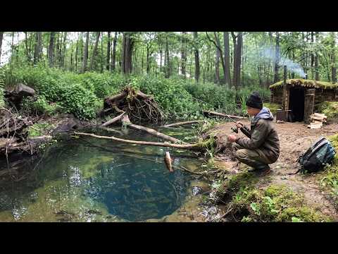 Wooden hut, forest river, caught fish, cooked it