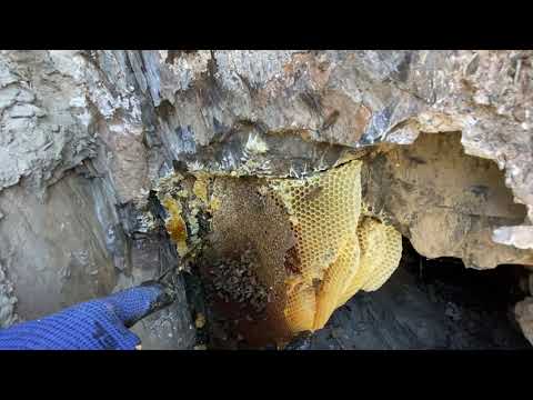 Hakkari Hakiki Şifalı Kaya Balı /Natural Rock Honey - Hamdi
