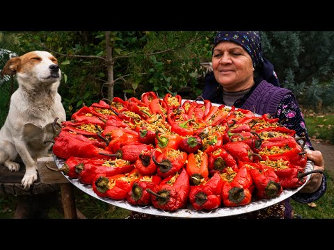 From Garden to Plate Traditional Stuffed Bell Peppers