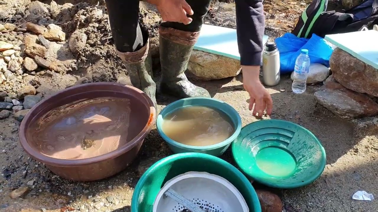 Gold Rush in a Whole New Way - Tons of Gold Extracted Daily