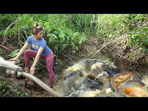 Top Video: Amazing Fishing, Fishing in the Lake, Catching