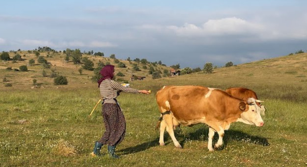 DAĞ KÖYÜNDE DOĞAL YAŞAMM HAYVANLAR VE YEMEKLER