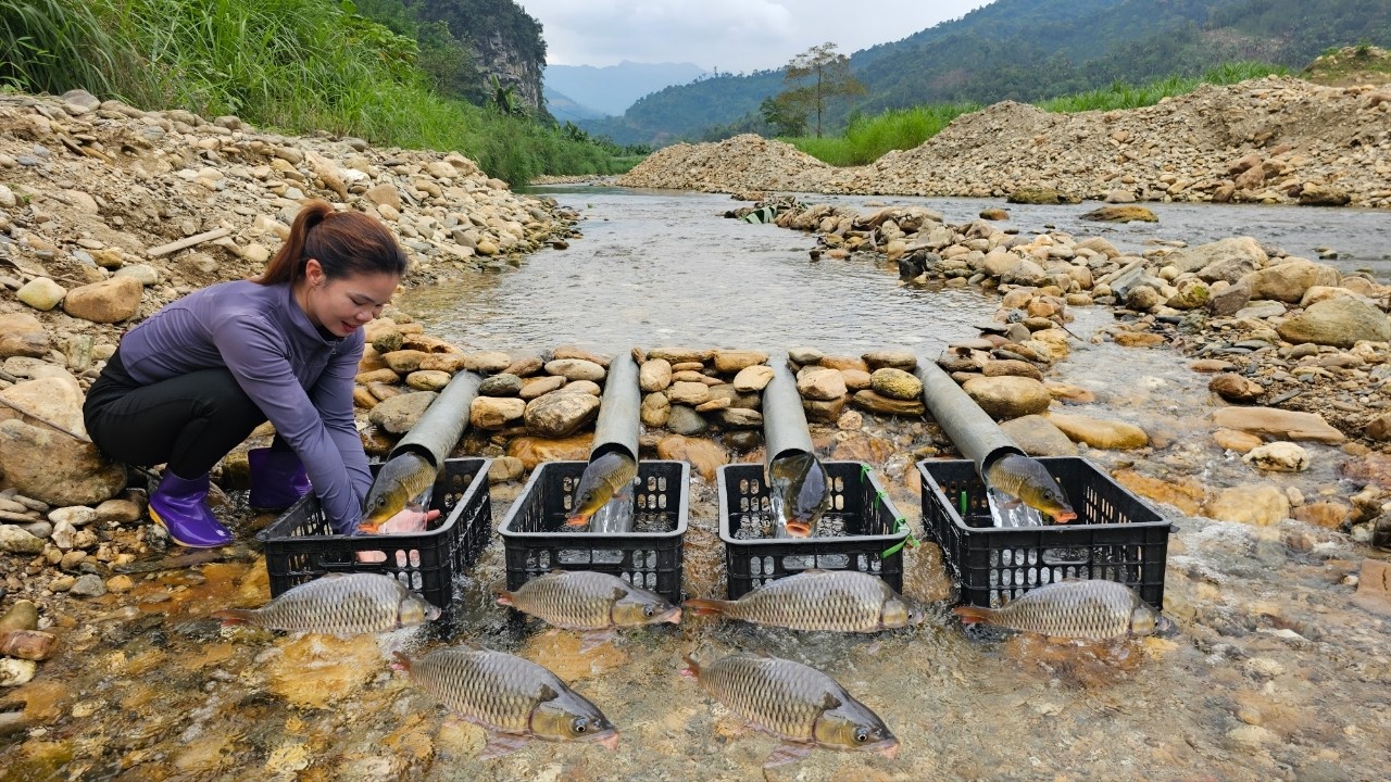 Ana's fishing technique using PVC pipes and bamboo