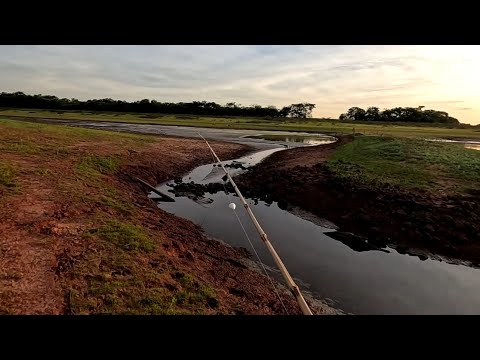 Pescaria de tucunaré e corvina no Rio marinheiro teve até