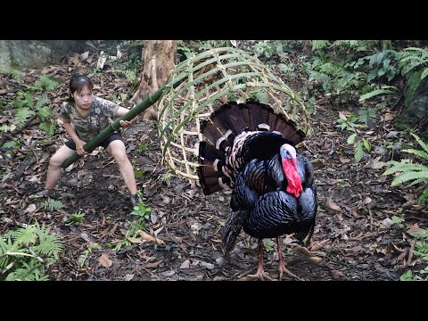 wild turkey hunting skills, making bamboo baskets to catch